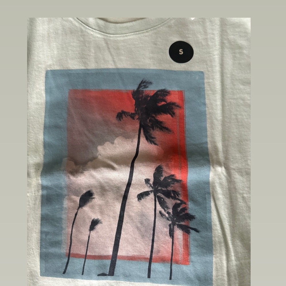 Banana Republic Light Mint T-Shirt with Blue and Red Graphic NWT